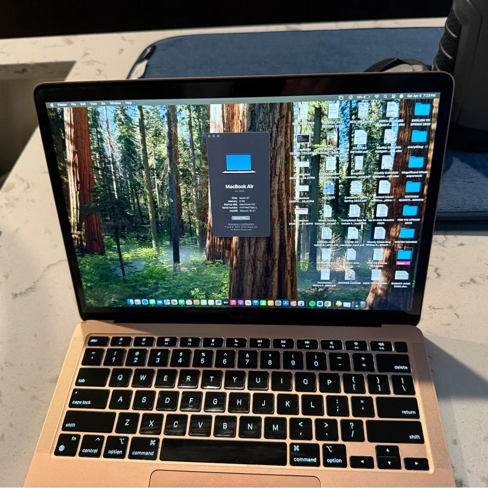 2020 Apple MacBook Air - Rose Gold